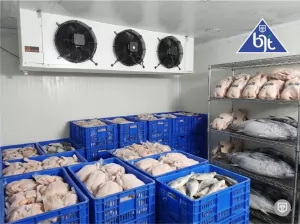 Air Blast Freezer – Solusi Pembekuan Cepat untuk Industri
